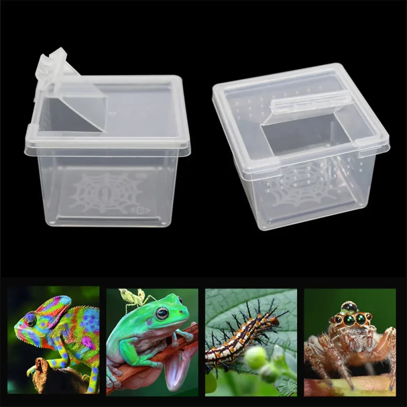 Customized Reptile Terrarium Ideal Habitat for Scorpion Spider Ants Chameleon Lizard Plastic Transparent Reptiles Living Box