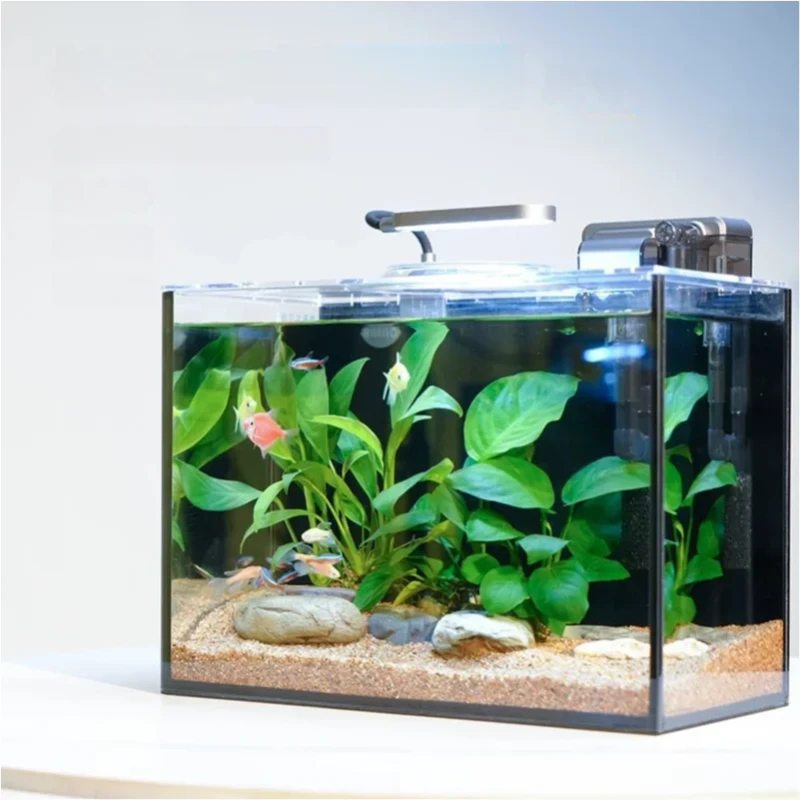 Customized Size Office Fish Tank Full Set with Lighting and Filter Accessories Ultra White Glass Aquarium