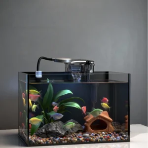 Customized Various Sizes Desktop Aquarium High definition Fish Tank for Living Room Book Desktop Decoration
