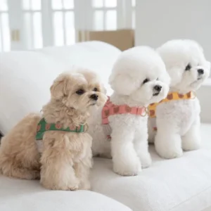 Cute Cat Pet Harness Outdoor Walking Adjustable Dog Collar and Leash Fashion Custom Dog Harness Set