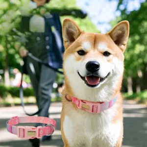 Cute Colorful Adjustable Pet Collar Lovely Color Matching Designer Fashion Dog Supplies Brand