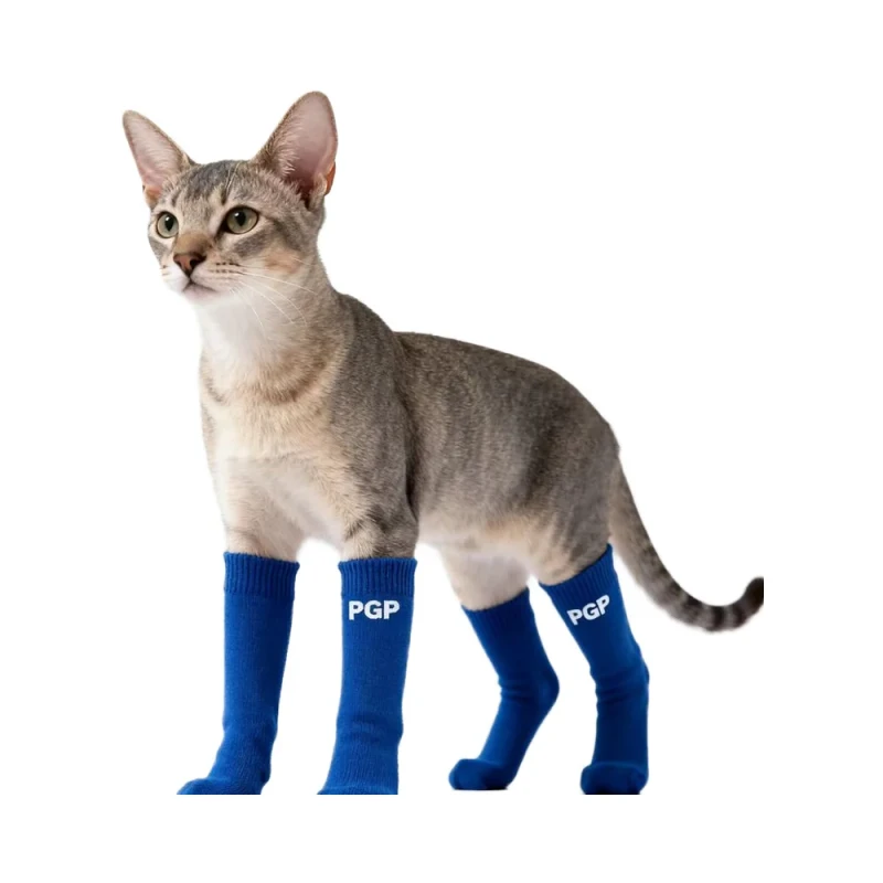 Cute Cotton Dog Socks with Secure Ankle Design for All Seasons