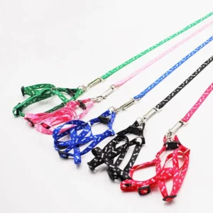 Cute Dog Harness Postage
