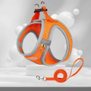 Cute Fashion Pet Collars Leashes Harnesses Pet Harness Set for Medium Breed Dogs with Logo
