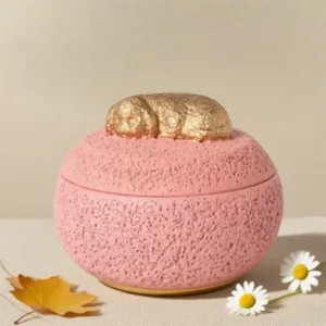 Cute Pet Funeral Urns Cremation Memorial Boxes for Cats Dogs Funeral Supplies for Ashes Storage