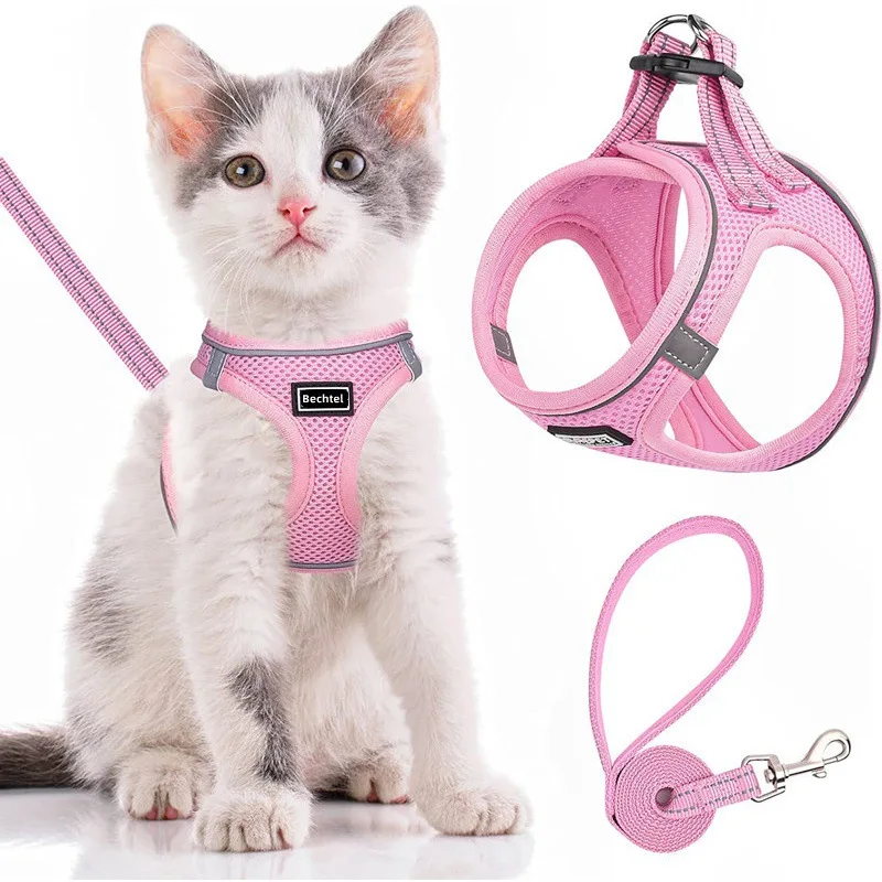 Cute Pet Harness & Leash Set Escape Proof Adjustable Vest for Small Dogs and Cats Retractable Walking Lead