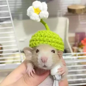 DIY Small Animals Cute Tiny Hat Mini Hand Knitted Hats for Snakes Pets Bearded Dragon Guinea Pig Bunny Costume Hamster Hat