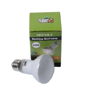 Daylight Basking Heat Lamp Light Bulbs Reptile and Bearded Dragon 60 75 W Amphibian Supplies