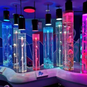 Decorative Large 100 Mm Thick Transparent Aquarium Big Ship