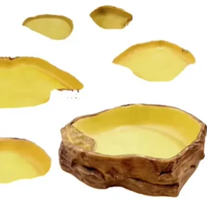 Deep Water Basin Food Drink Bath Basin for Reptiles Simulated Rock Landscape for Tortoise Snake Pets Amphibian Supplies
