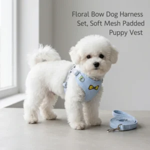 Designer Dog Harness and Leash Set Bow Embroidery Pet Vest Reflective Adjustable No Pull Dog Harness for Small Dogs