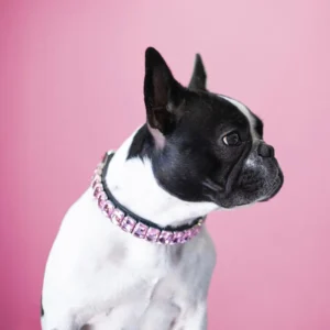 Designer Personalized Fashion Diamond Dog Collar PU Leather Rhinestone Pet Collars Studded Shiny Diamonds Puppy Cat Collars