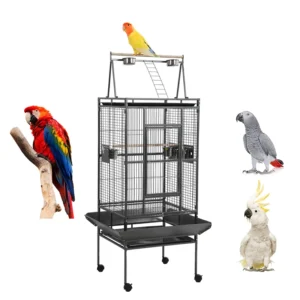 Designs Black Steel Metal Iron Aviary Canary Pet Large Parrot Bird Cage