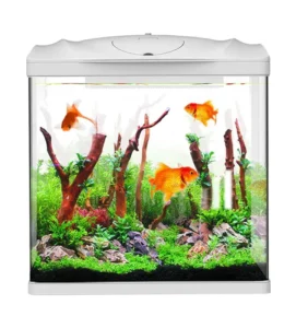 Desktop Aquarium Acrylic Table Plastic Fish Breeding Farming Tank