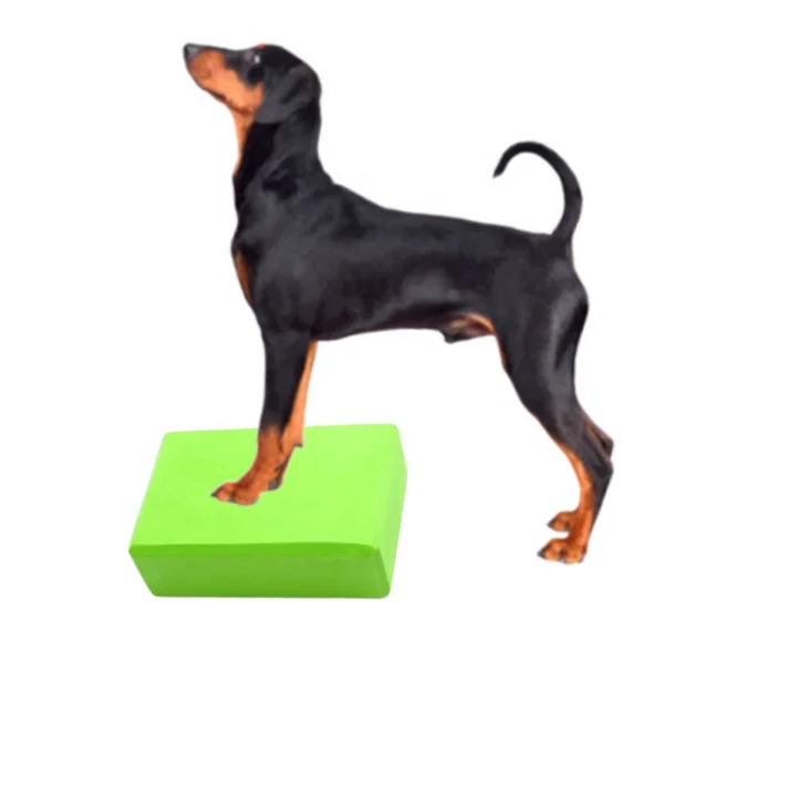Direct Factory Dog Exercise Balance Disc Custom SAP Weight EVA PC Material Strength Endurance Training Tool