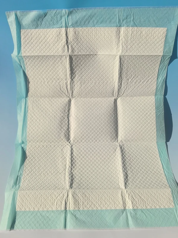 Disposable Big Size Dog Pee Pads Super Absorbent Leak Proof for Puppy Training OEM Samples Customization