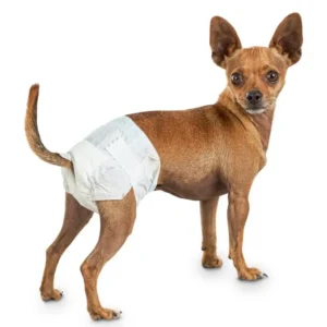 Disposable Female Pet Diapers for Dogs