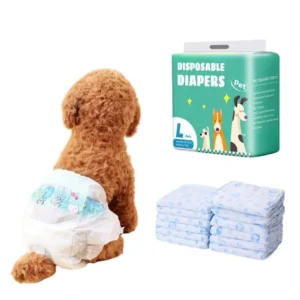 Disposable Male Dog Diapers with Heat Protection Protect Your Home and Pet for Canine Care