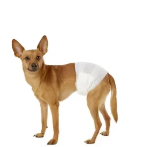 Disposable Pet Diaper Supply Super Absorbent Soft Female and Male Pet Dog Diapers