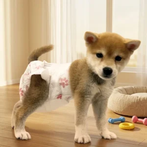 Disposable Pet Diapers Breathable and Comfortable with Leak Proof Design Absorbent Cats Female Dogs New Deodorizing ODM OEM