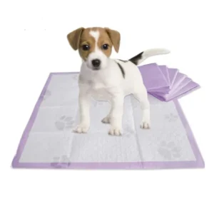 Disposable Puppy Training Pet Dog Pee Pad Super High Absorbency Waterproof IP68 Cloth SAP Material Essential Pet Training Supply