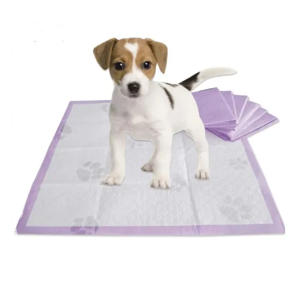 Disposable Puppy Training Pet Dog Pee Pad Super High Absorbency Waterproof IP68 Cloth SAP Material Essential Pet Training Supply