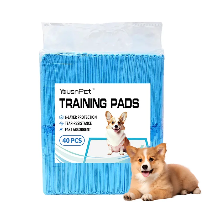 Disposable Super Absorbent Dog Training Pee Pads Carbon Pee Pads 20pcs 40pcs 100pcs for Dogs