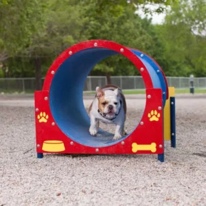 Dog Agility Kits Indoor Use Durable Eco Friendly Commercial Canine Friendly Songfa Brand