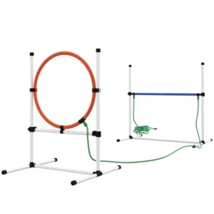 Dog Agility Training Equipment