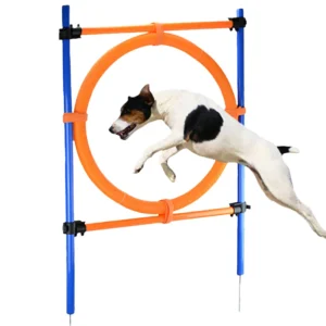 Dog Agility Training Equipment Hurdle Outdoor Games Adjustable Height Jumping Ring