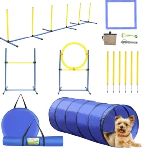 Dog Agility Training Equipment Set Outdoor and Indoor Obstacle Course Starter Kit with Tunnel