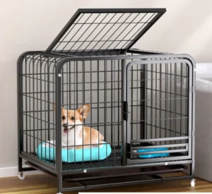 Dog Cages Metal Kennels Dog Cage for Large Dog Box Cage