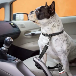 Dog Car Safety Harness with Nylon Material Reflective Strip and Buckle Closure for Small Medium Large Pets