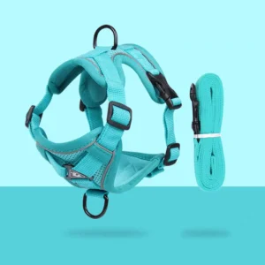 Dog & Cat Foldable Mesh Sandwich Material Leash with Adjustable Strap for Outdoor Use and Easy Travel