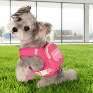Dog & Cat Harness Set Comfortable Durable Adjustable Polyester Fiber Pet Anti Fouling Waterproof Training Collar Buckle Closure