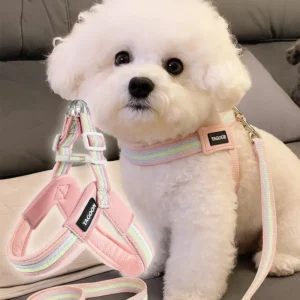 Dog Cat Pet Harnesses Leash Custom Logo Breathable Harnesses for Small Medium Dogs
