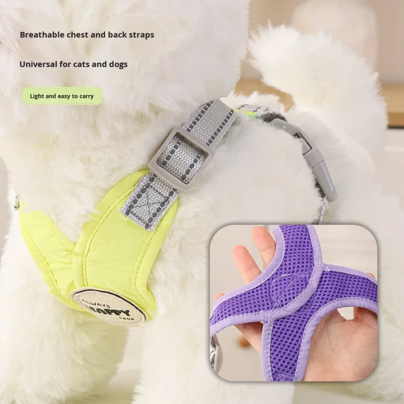 Dog & Cat Pet Leash with Cartoon Fairy Chain Design for Walking