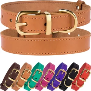 Dog Collar Buckle Durable Pet Collars for Small Medium Large Dogs Puppy Cat Kitten Red Pink Purple Green Brown Black