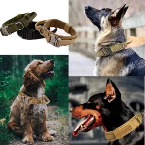 Dog Collar Durable with Reinforce Buckle Training Tactical Collar for Large Dogs Pet Supplies