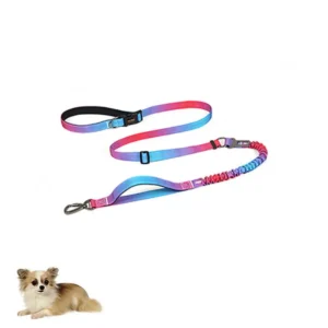 Dog Collar Harness and Retractable Leashes Set Luxury Tactical Fashion Custom Design Waterproof IP67 Eco Friendly Nylon