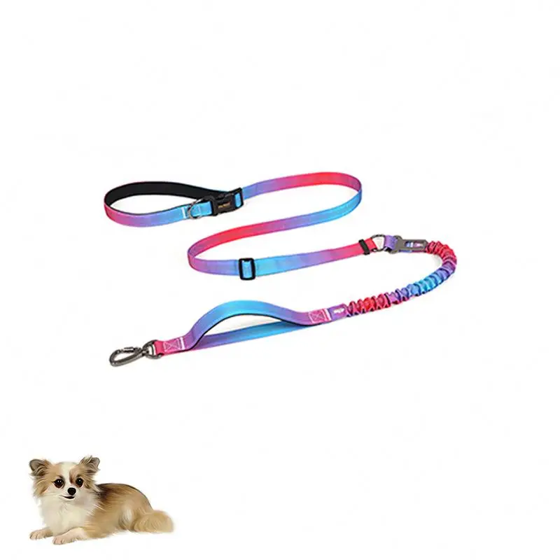Dog Collar Harness and Retractable Leashes Set Luxury Tactical Fashion Custom Design Waterproof IP67 Eco Friendly Nylon