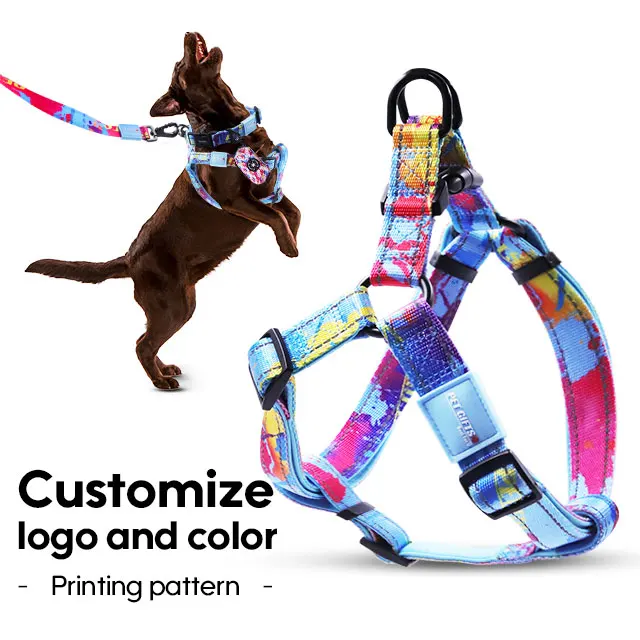 Dog Collar Leash Set Adjustable Lightweight Eco Friendly Textile Pet Harness Fashion Comfortable No Pull Leash for Small Medium