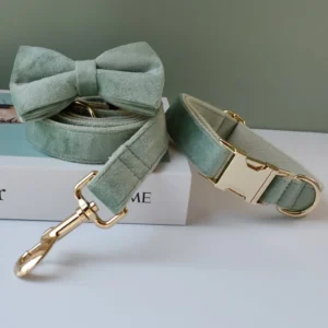 Dog Collar Manufacturer Personalized Custom Velvet Dog Collar Pet Leash Luxury Dog Collar and Leash Set