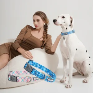 Dog Collar Pet Supplies Dog Nylon Collar Large Medium Outdoor Walking Accessories Custom Dog Collar Pet Collar Tactical