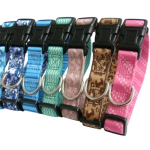Dog Collar and Leash