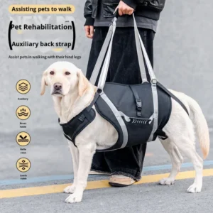 Dog Full Body Lift Harness for Large Dogs Back Leg Support Mobility for Senior Dogs Post Surgery Recovery Sling Pet Harness Set