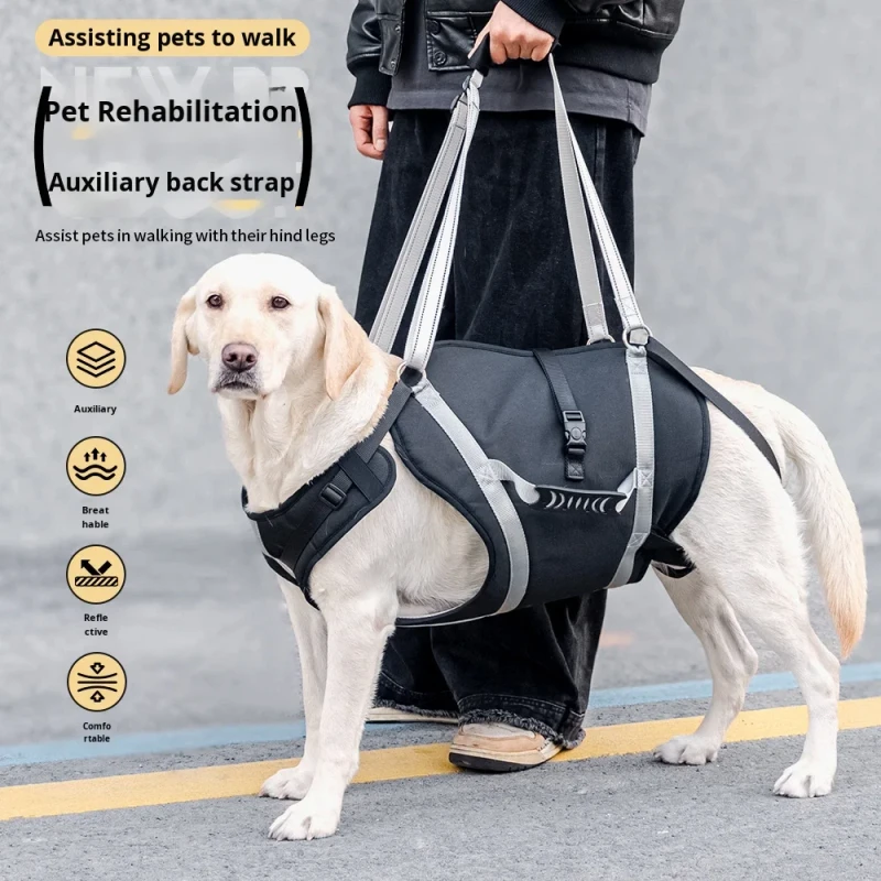 Dog Full Body Lift Harness for Large Dogs Back Leg Support Mobility for Senior Dogs Post Surgery Recovery Sling Pet Harness Set