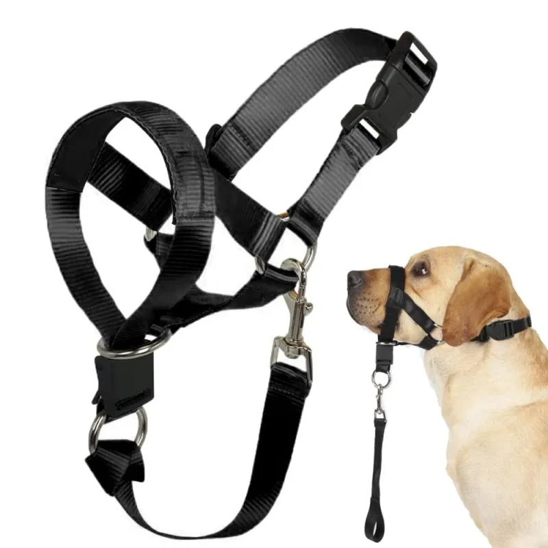 Dog Halter Halti Training Head Collar Gentle Harness Adjustable Muzzle Creative Breakaway All Seasons Leash Leader Nylon Solid