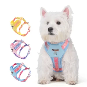 Dog Harness Leash Outdoor Walking Cat Puppy Pet Accessories Breathable Adjustable Colorful Dog Harness and Leashes