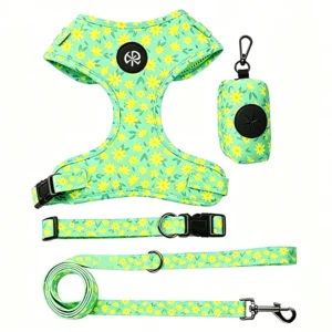 Dog Harness Manufacturers Custom Logo Multicolor Heavy Duty Neoprene No Pull Adjustable Pet Walking Chest Dog Harness Set